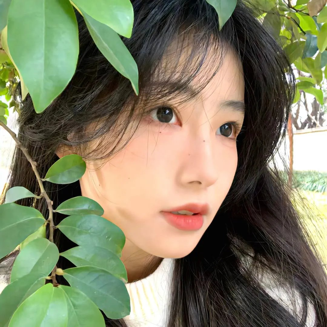 欲望和智慧