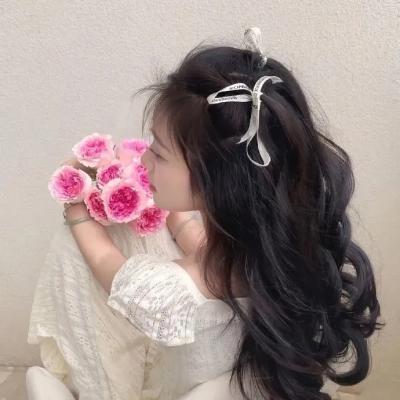 大黄蜂